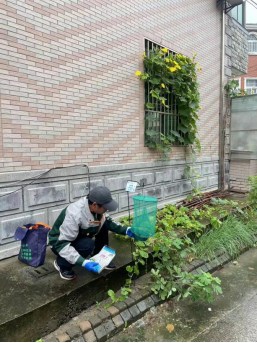 为民生领域作出有益贡献，上海均治开展公益灭四害活动