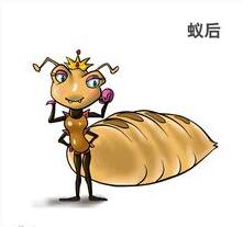 白蚁蚁后的寿命有多长