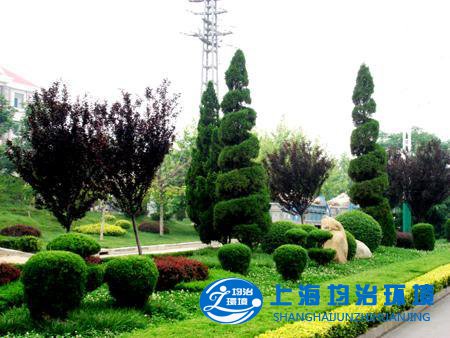园林园艺该如何养护-上海均治工程有限公司为您