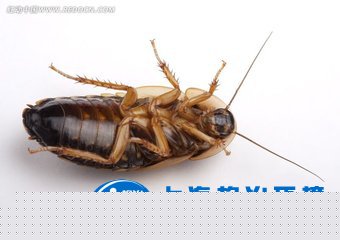 【健康小常识】家里和办公室里都很干净，怎么